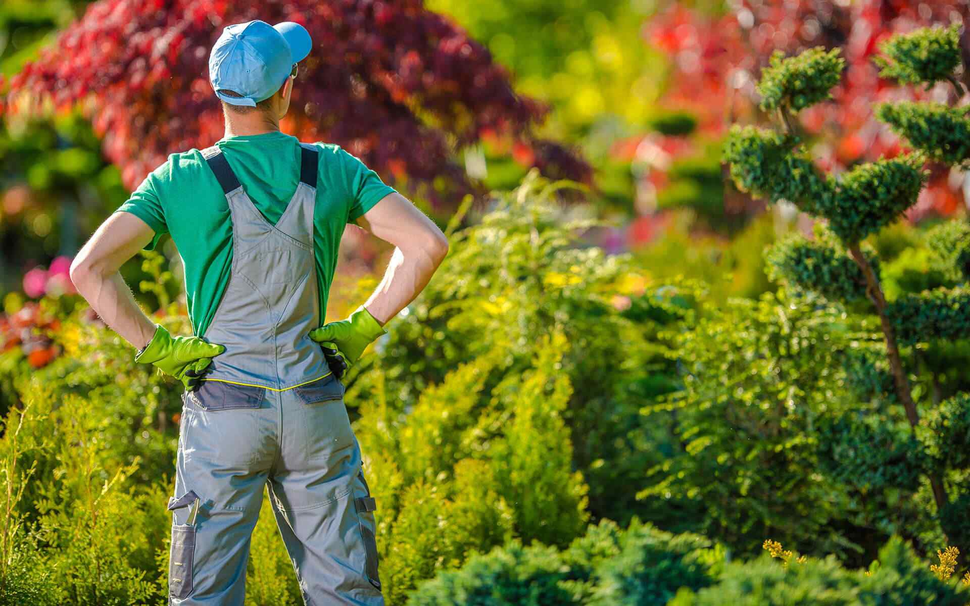 inner_02_home_02 https://doorwatch.com/wp-content/uploads/2019/08/inner_02_home_02.jpg